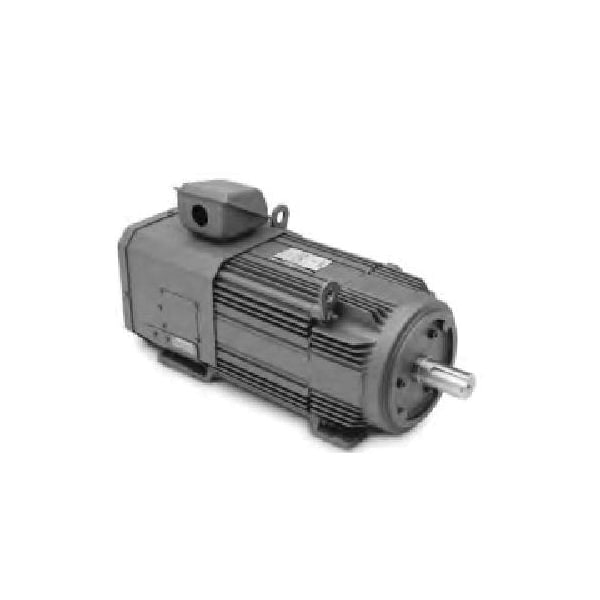 30Hp, 1750Rpm, 3Ph, 60Hz, 2162C, Tebc, Foot
